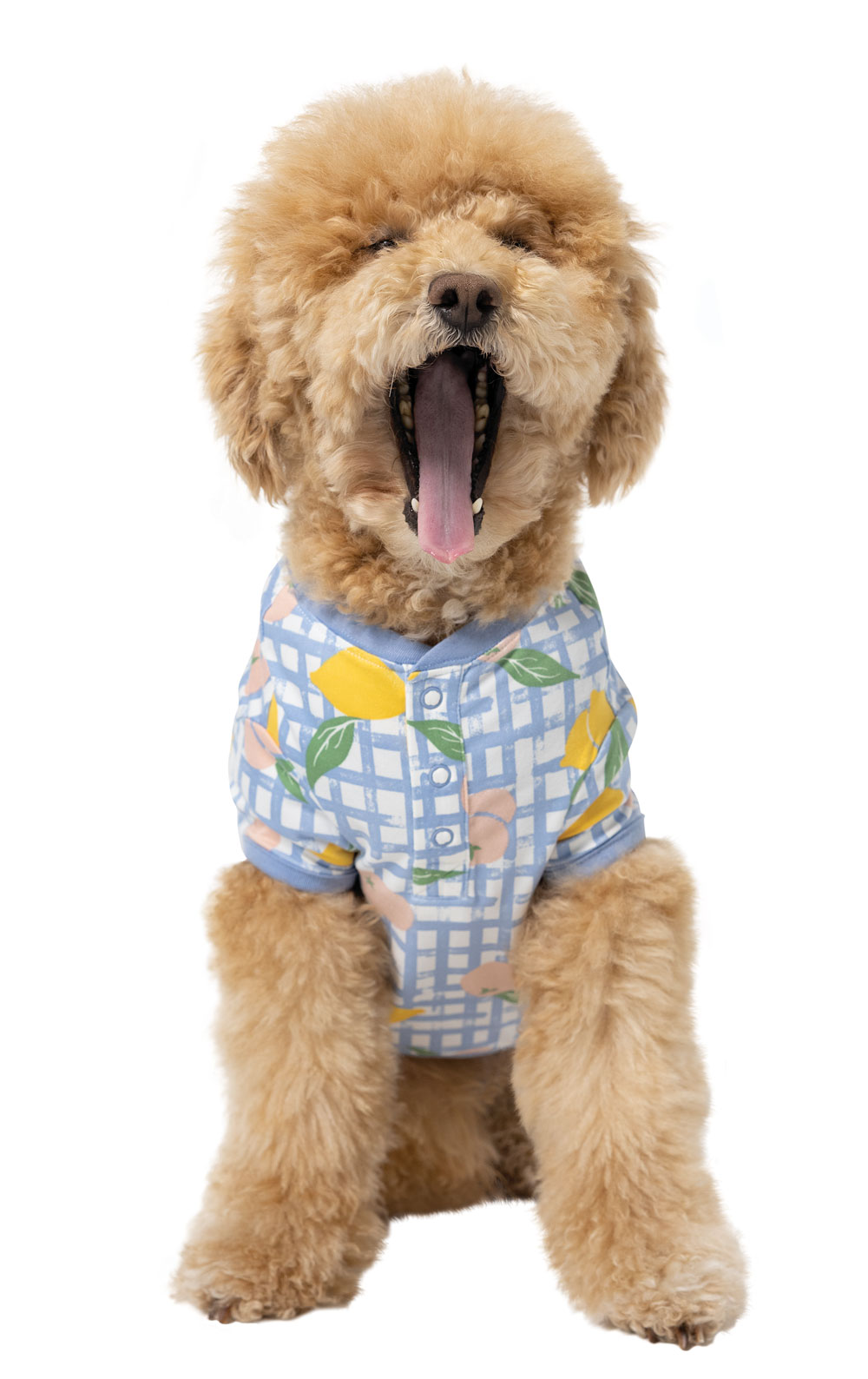 Countryside Gingham Pet Pajamas