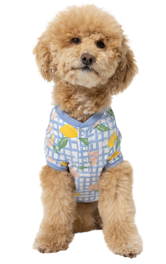 Countryside Gingham Pet Pajamas