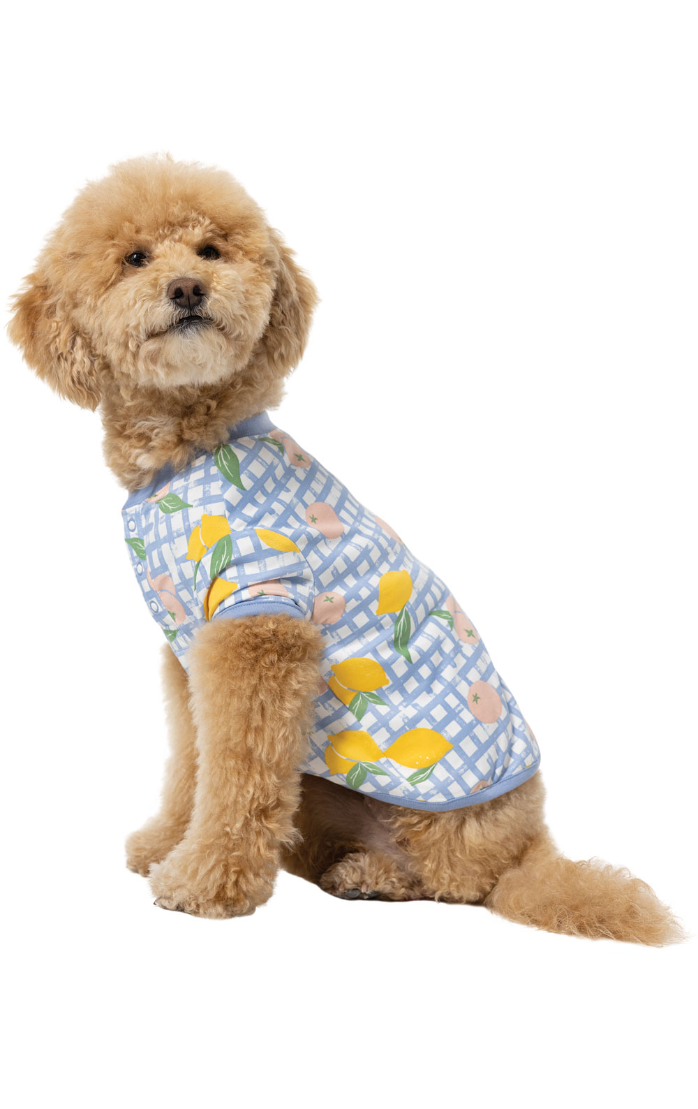 Countryside Gingham Pet Pajamas