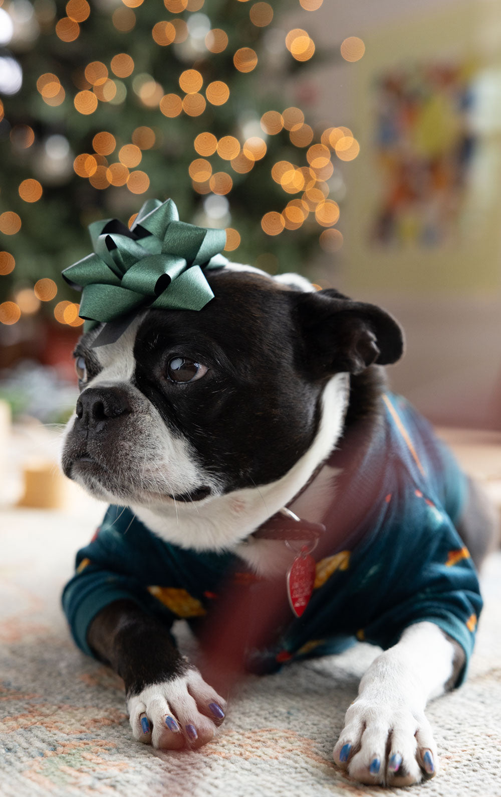 Holiday Garland Matching Pet & Owner Pajamas