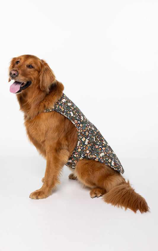 Rested Cotton Pet Pajamas – Cozy Reader  