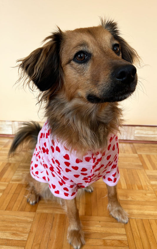 Lollipop Hearts Pet Pajamas