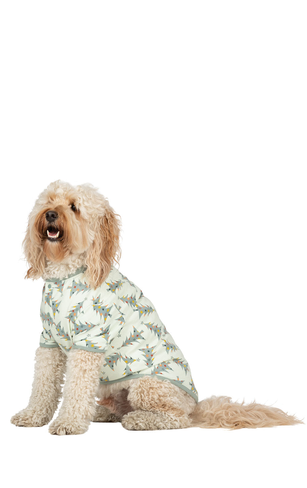 Balsam & Pine Matching Pet and Owner Pajamas