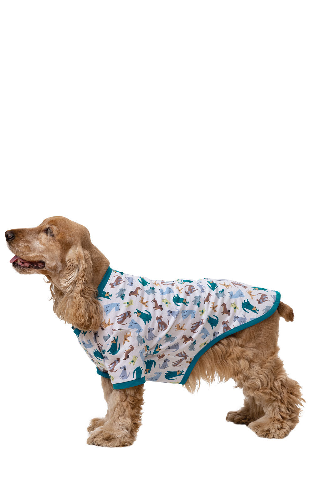 "Dogs Are My Favorite" Dog Pajamas - Pet & Owner